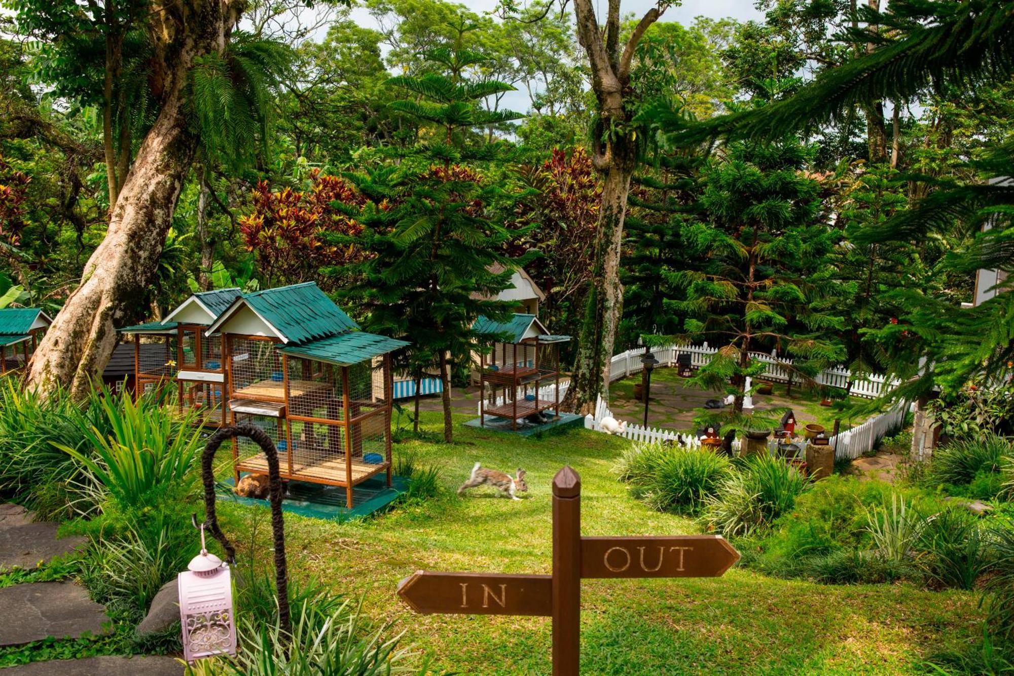 โนวุส คีรี รีสอร์ตแอนด์สปา Hotel ปุนจัก ภายนอก รูปภาพ